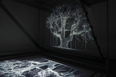Albion, 2017 (Proyector, reproductor multimedia, andamio, película transparente, madera, pintura, espejo, accesorios de estiramiento) de Mat Collishaw