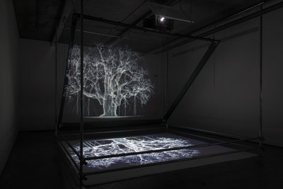 Albion, 2017 (Proyector, reproductor multimedia, andamio, película transparente, madera, pintura, espejo, accesorios de estiramiento) de Mat Collishaw