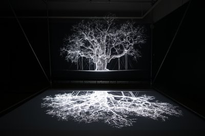 Albion, en la exposición "Petrichor" de Mat Collishaw en Kew Gardens, Londres, 2023 (foto) de Mat Collishaw