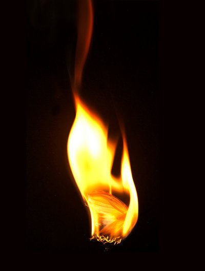 Burning Butterfly 16, 2013 (impresión Lambda) de Mat Collishaw
