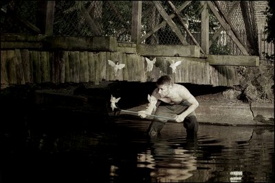 Atrapar hadas 4 de Mat Collishaw