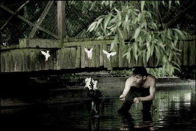 Atrapar hadas 6 de Mat Collishaw