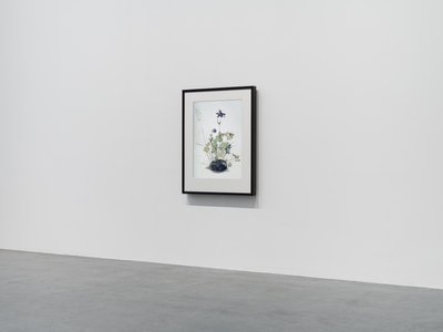 Columbine, 2018 (Marco de madera, cenefa, pantalla LCD, ventilador y reproductor multimedia) de Mat Collishaw