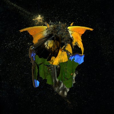 Insecticida 14, 2009 (fotografía tipo C) de Mat Collishaw