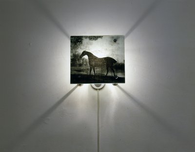 Caballos Stubbs de Mat Collishaw