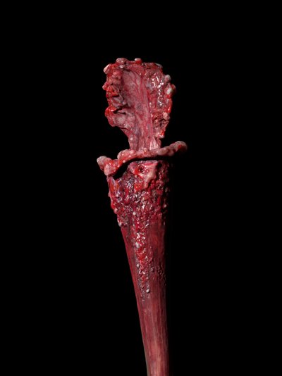 La musa venal, Fenside, 2012 (resina, pintura esmaltada, madera, vidrio, acero) de Mat Collishaw