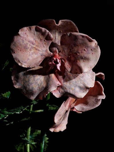 Venal Muse, Impetus, 2012 (resina, pintura esmaltada, madera, vidrio, acero) de Mat Collishaw