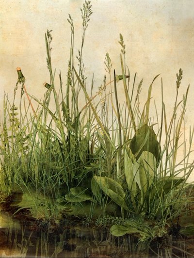 Whispering Weeds, 2011 (Marco de madera, borde, pantalla LCD, ventilador y disco duro) de Mat Collishaw