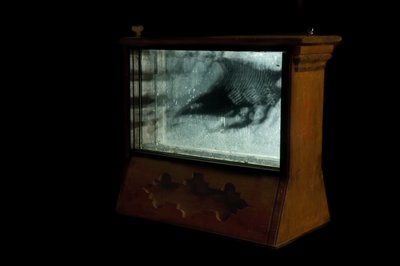Wormery, 2009 (madera, vidrio, acero, proyector y reproductor) de Mat Collishaw