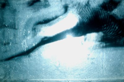 Wormery, 2009 (madera, vidrio, acero, proyector y reproductor) de Mat Collishaw