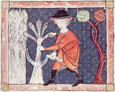 Fol.58v Julio: La Cosecha de Matfre Ermengaut