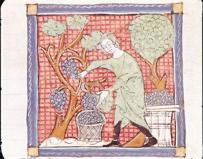 Fol.59r Septiembre: La cosecha de Matfre Ermengaut