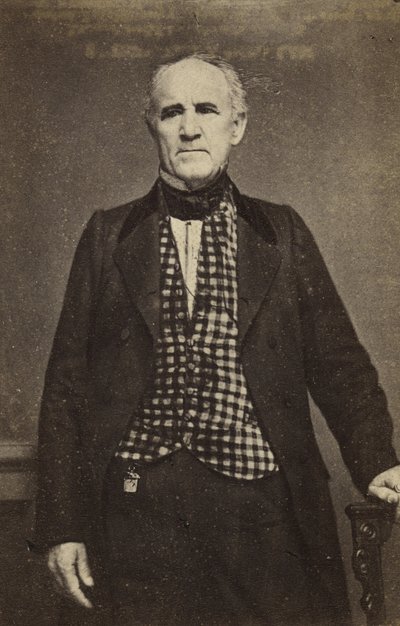 Sam Houston, c.1860-65 de Mathew B. Brady