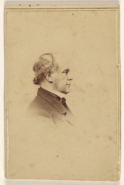 [Hombre no identificado de perfil, impreso en estilo de viñeta] de Mathew B. Brady
