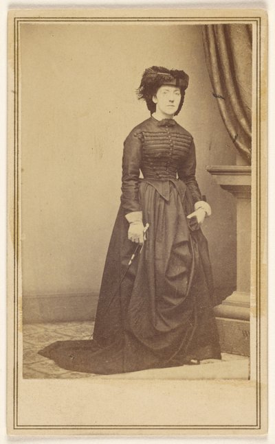  de Mathew B. Brady