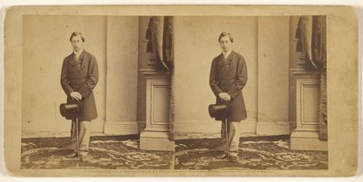 [Joven no identificado de pie, sosteniendo un sombrero de copa y un bastón] de Mathew B. Brady