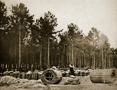 Haciendo gabiones frente a Petersburg, 1861-65 de Mathew B. Brady