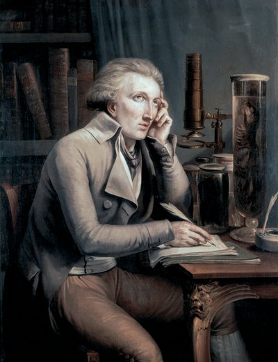 Retrato de Georges Leopold Cuvier de Mathieu Ignace van Bree