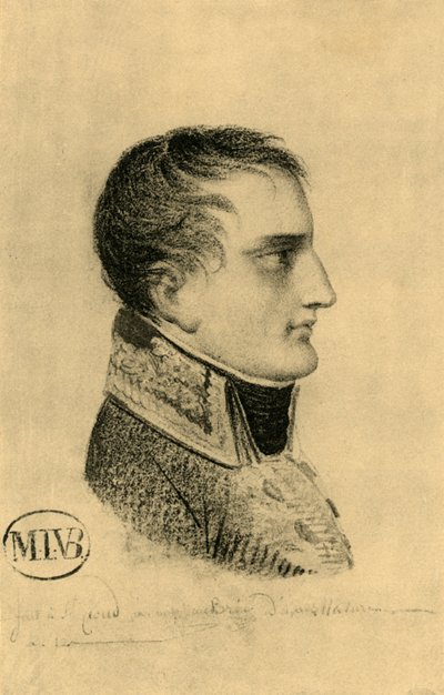 Napoleón como Primer Cónsul de Mathieu Van Brée