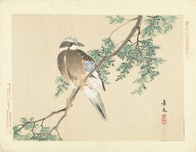 Jay en una rama de Matsumura Keibun