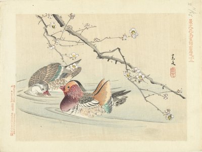 dos patos Bocetos de flores y pájaros de Keibun, primera parte (título de la serie) Keibun kacho gafu zen pen (título de la serie en el objeto) de Matsumura Keibun