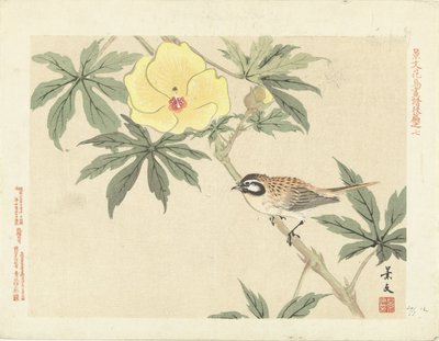 Pájaro en rama con flor amarilla Bocetos de flores y pájaros de Keibun - tercera parte (título de la serie) Keibun kacho gafu kohen (título de la serie sobre el objeto) de Matsumura Keibun