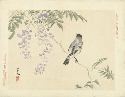 Pájaro en rama de glicina Bocetos de flores y pájaros de Keibun - tercera parte (título de la serie) Keibun kacho gafu kohen (título de la serie sobre el objeto) de Matsumura Keibun