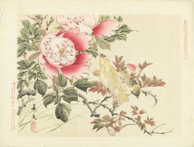 pájaros y peonías Bocetos de flores y pájaros de Keibun, primera parte (título de la serie) Keibun kacho gafu zen pen (título de la serie en el objeto) de Matsumura Keibun