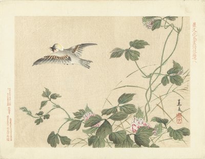 Pájaro volando en la enredadera con flores rosas Bocetos de flores y pájaros de Keibun - tercera parte (título de la serie) Keibun kacho gafu kohen (título de la serie sobre el objeto) de Matsumura Keibun