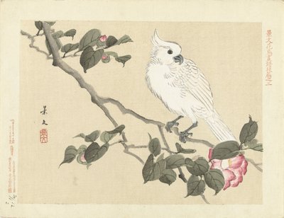 Cacatúa blanca en rama de camelia Bocetos de flores y pájaros de Keibun - tercera parte (título de la serie) Keibun kacho gafu kohen (título de la serie sobre el objeto) de Matsumura Keibun