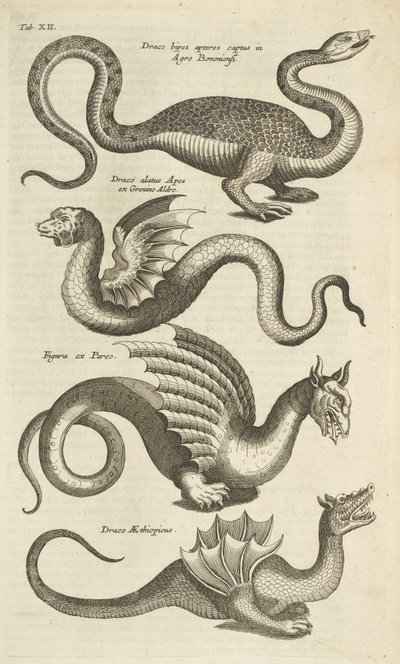 Ficha XII, Criaturas míticas, Dragones, Ilustración de 