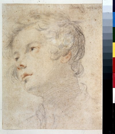 Cabeza de un niño. Pintura de Matteo Rosselli (1578-1650). Tiza y tiza roja sobre papel de Matteo Rosselli