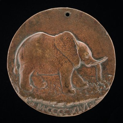 El elefante Malatesta en un prado [reverso], 1446 de Matteo di Andrea de Pasti