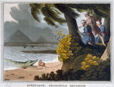 Egipcios, captura de cocodrilos, 1813 de Matthew Dubourg