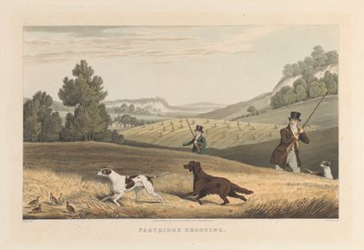 Tiro de perdiz de Matthew Dubourg
