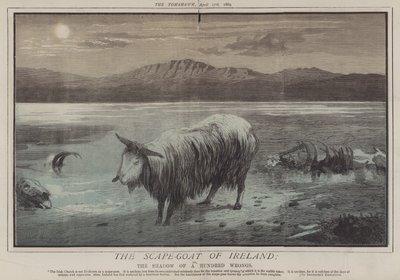 El Chivo Expiatorio de Irlanda; o, La Sombra de Cien Agravios de Matthew