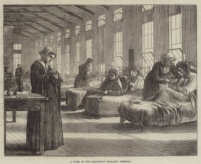 Una sala en el Hospital de Viruela de Hampstead de Matthew White Ridley