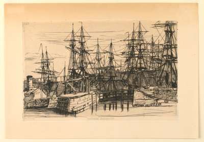 Puerto de Draham de Matthew White Ridley