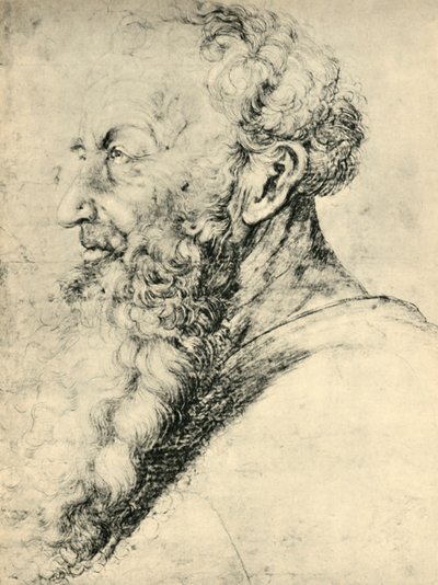 Retrato de Guido Guersi de Matthias Gruenewald