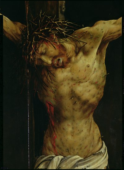 La Crucifixión del Retablo de Isenheim, detalle del torso de Cristo, c.1512-16 (detalle) de Matthias Grünewald