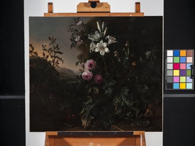 Naturaleza muerta (óleo sobre lienzo) de Matthias Withoos