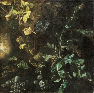 Cardos y otras plantas en el suelo del bosque, un paisaje más allá, fragmento de Matthias Withoos