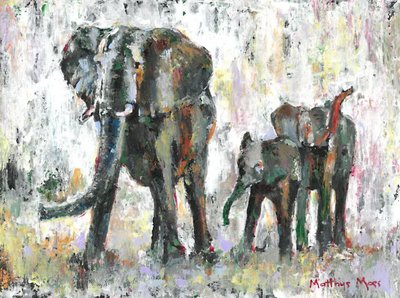 Familia de elefantes africanos de Matthys Moss