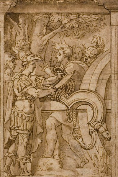 Alejandro corta el nudo gordiano de Maturino da Firenze