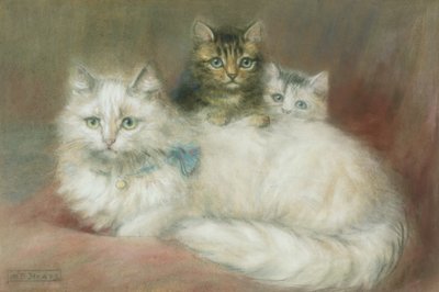 Un Gato Persa y sus Gatitos de Maud D. Heaps