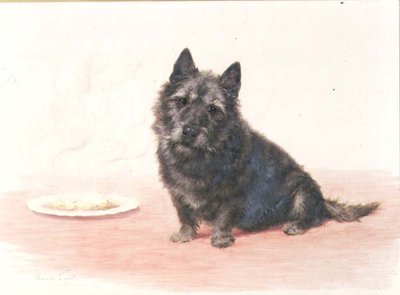 Hora de la cena - un terrier escocés sentado junto a un plato de Maud Earl