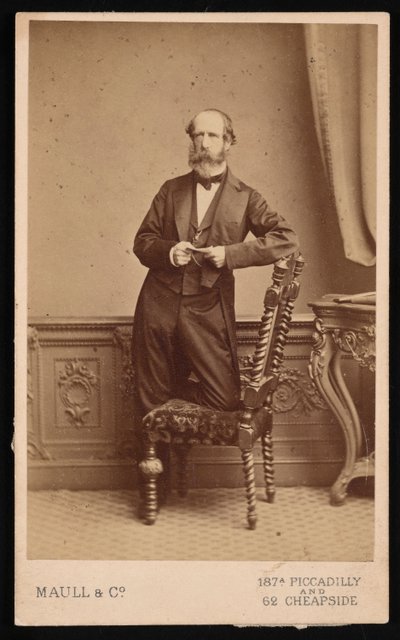 Retrato de Andrew Dickson Murray 1812-1878, antes de 1878 de Maull and Co