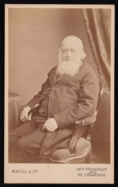 Retrato de John Gould 1804-1881, antes de 1875 de Maull and Co
