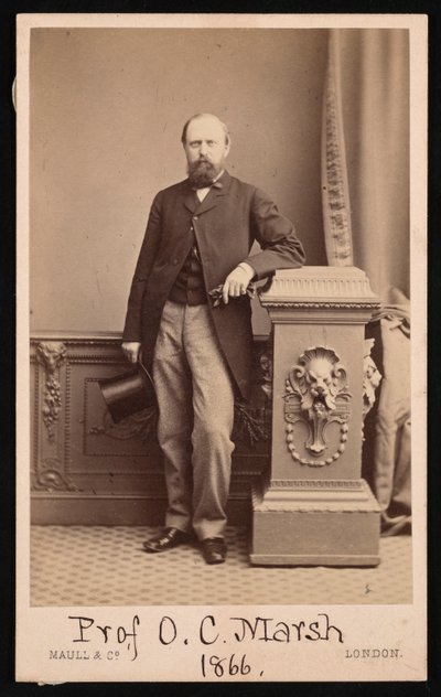 Retrato de Othniel Charles Marsh 1831-1879, 1866 de Maull and Co