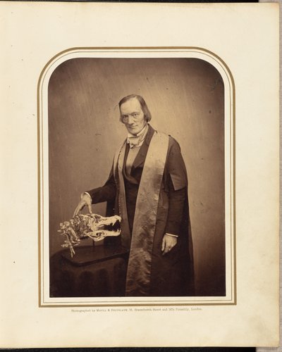 Profesor Owen, F.R.S. de Maull and Polyblank